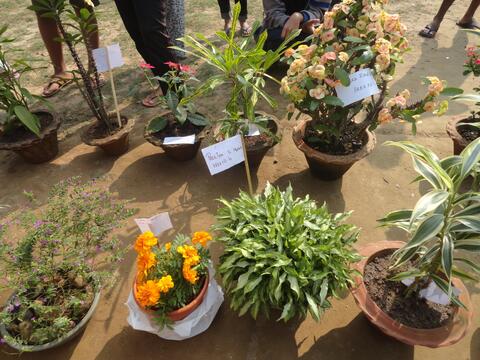 Flower Show by the Youth of CBC (Youth Festival first day.)