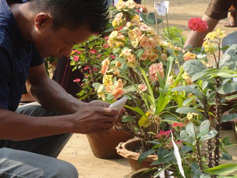Flower Show by the Youth of CBC (Youth Festival first day.)