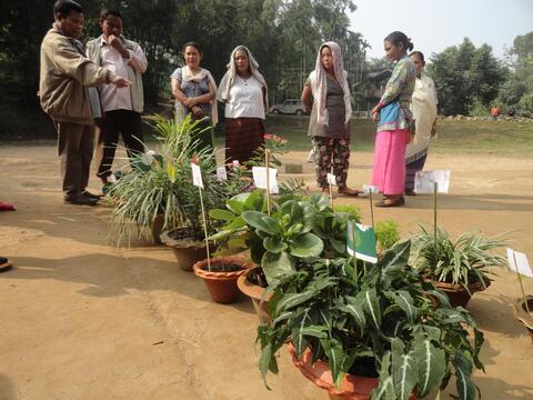 Flower Show by the Youth of CBC (Youth Festival first day.)