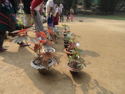 Flower Show by the Youth of CBC (Youth Festival first day.)