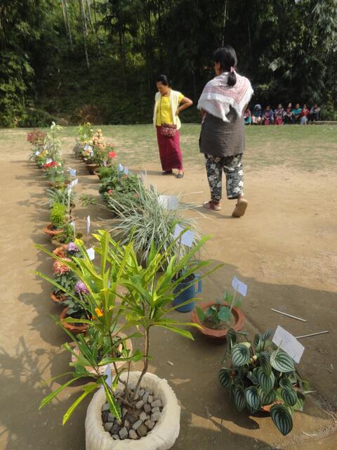 Flower Show by the Youth of CBC (Youth Festival first day.)